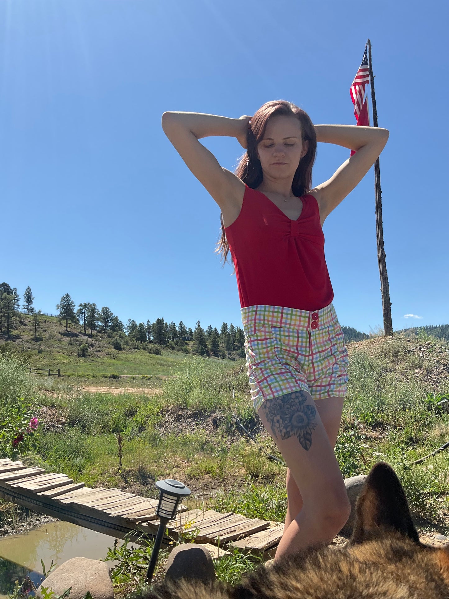 Jenny Shorts in Picnic